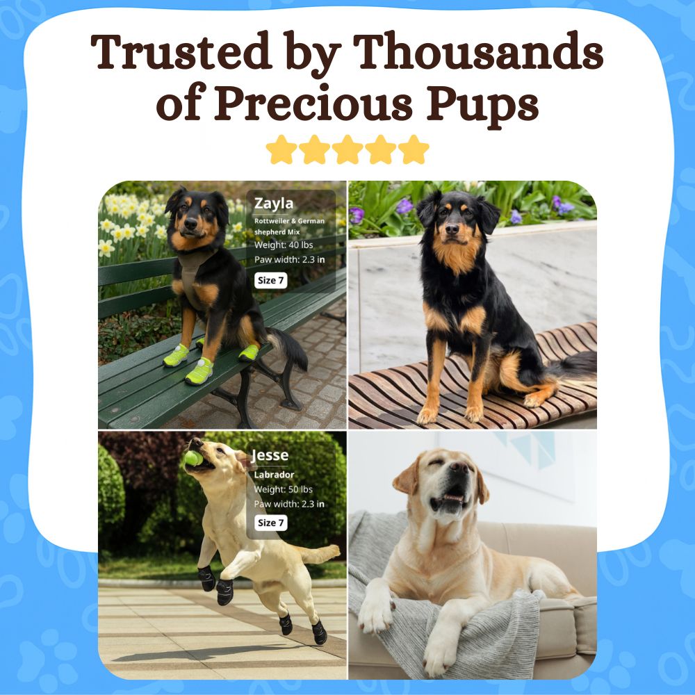 MaxyPaws Protective Dog Boots