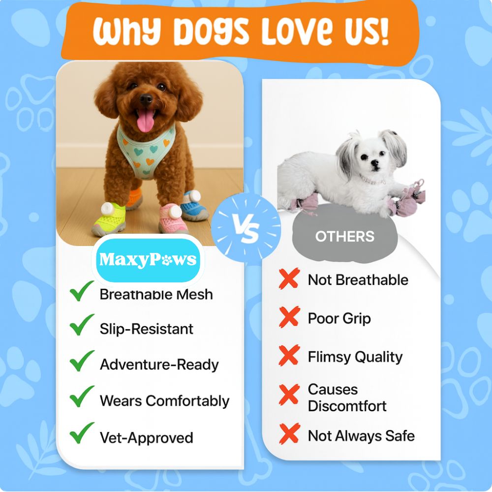 MaxyPaws Protective Dog Boots
