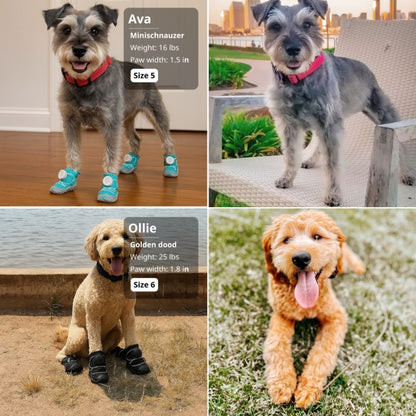 MaxyPaws Protective Dog Boots